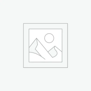 플레이스홀더